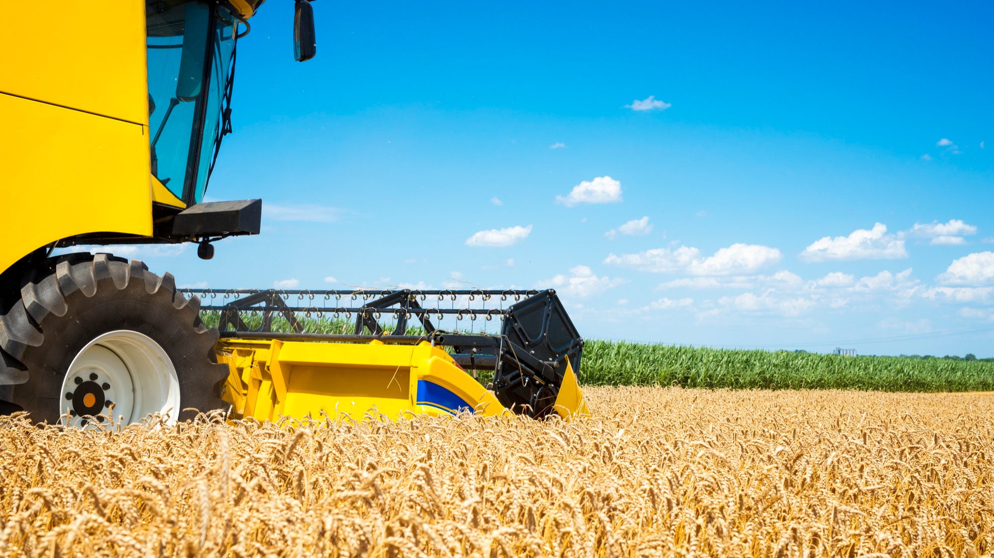 How Kernel centralized procurement for 700+ users across regions