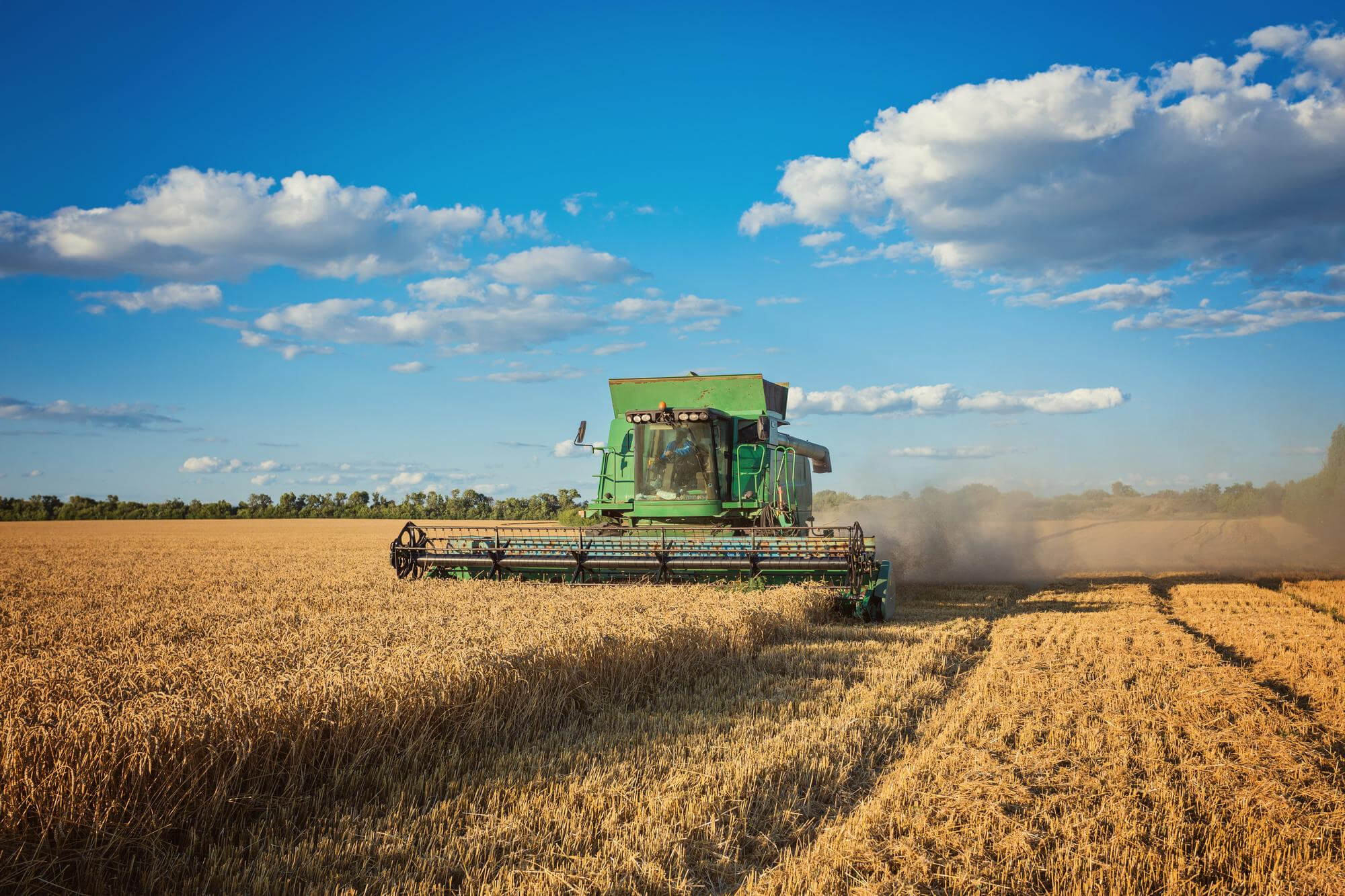 How UkrLandFarming unified procurement across 300+ employees and multiple entities