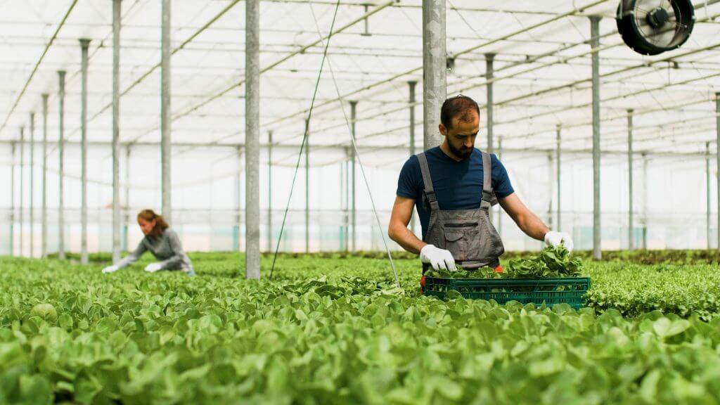 How UkrLandFarming unified procurement across 300+ employees and multiple entities