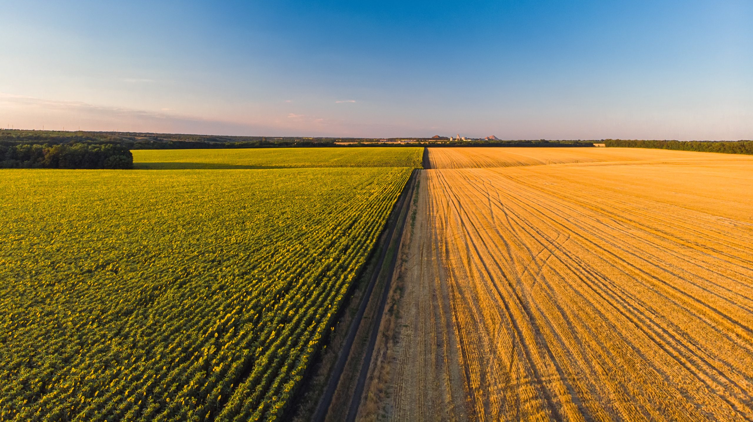 How Kernel centralized procurement for 700+ users across regions