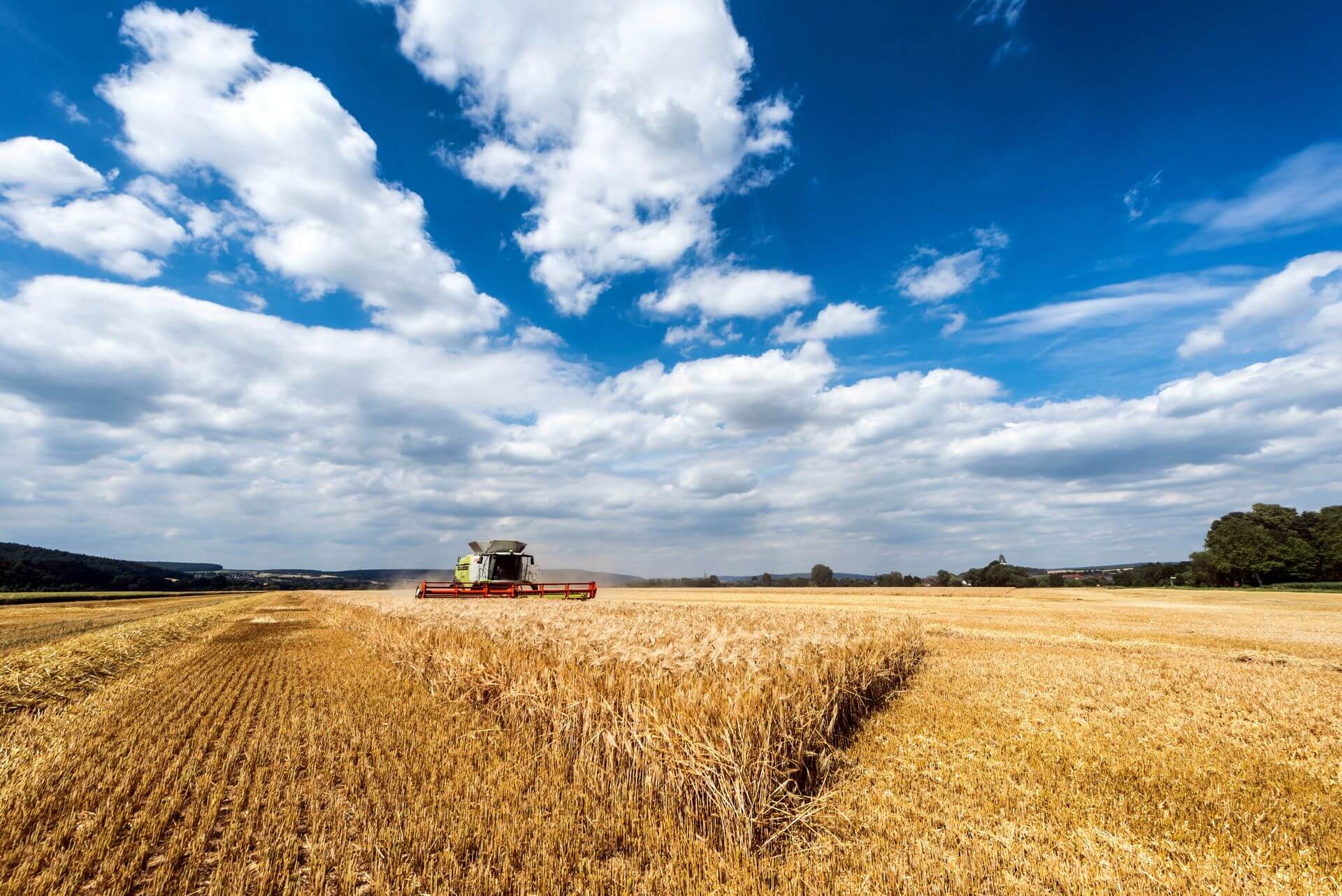 procurement management for agribusiness