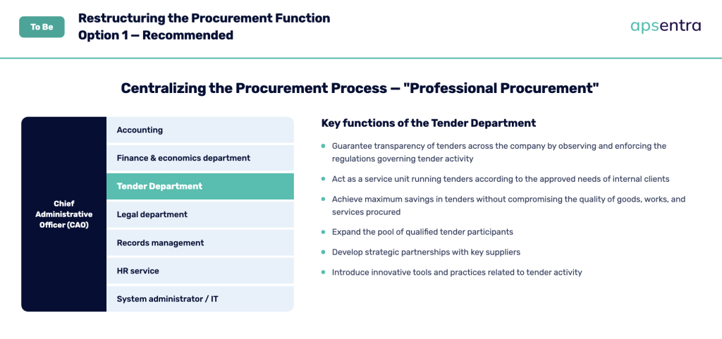 restructuring of the procurement function - procurement consulting services